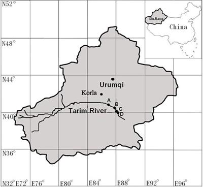 Stomatal Sensitivity to Vapor Pressure Deficit and the Loss of Hydraulic Conductivity Are Coordinated in Populus euphratica, a Desert Phreatophyte Species